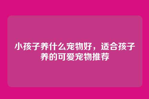 小孩子养什么宠物好,适合孩子养的可爱宠物推荐