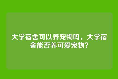 大学宿舍可以养宠物吗,大学宿舍能否养可爱宠物?