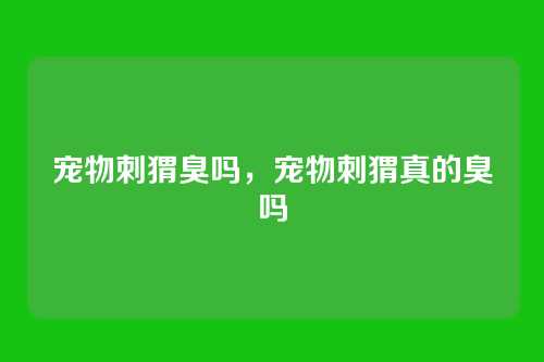 宠物刺猬臭吗,宠物刺猬真的臭吗