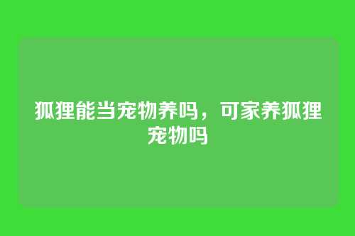 狐狸能当宠物养吗,可家养狐狸宠物吗