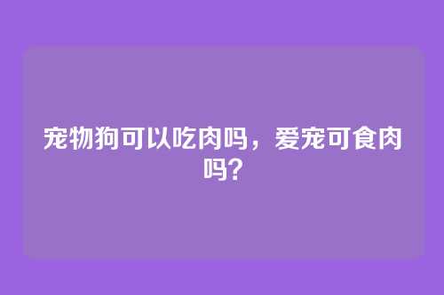 宠物狗可以吃肉吗，爱宠可食肉吗？