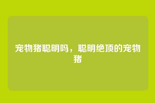 宠物猪聪明吗,聪明绝顶的宠物猪