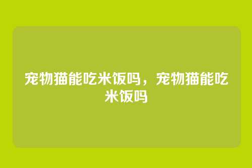 宠物猫能吃米饭吗,宠物猫能吃米饭吗