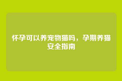 怀孕可以养宠物猫吗,孕期养猫安全指南