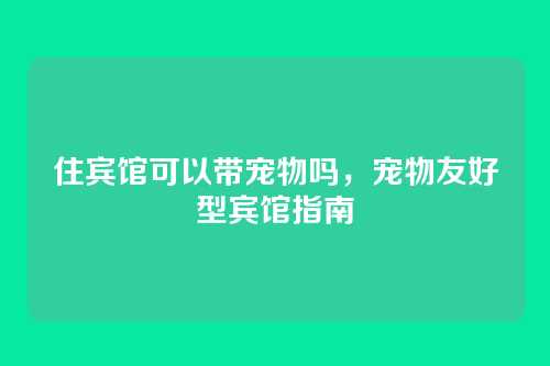 住宾馆可以带宠物吗,宠物友好型宾馆指南