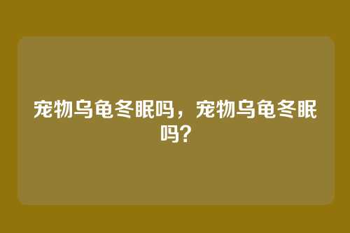 宠物乌龟冬眠吗,宠物乌龟冬眠吗?