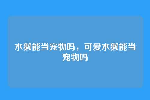 水獭能当宠物吗,可爱水獭能当宠物吗