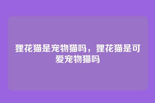 狸花猫是宠物猫吗,狸花猫是可爱宠物猫吗