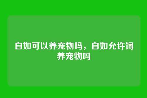自如可以养宠物吗,自如允许饲养宠物吗