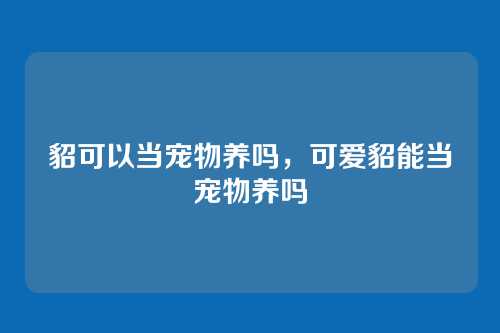 貂可以当宠物养吗,可爱貂能当宠物养吗