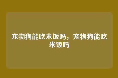 宠物狗能吃米饭吗,宠物狗能吃米饭吗