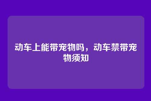 动车上能带宠物吗,动车禁带宠物须知