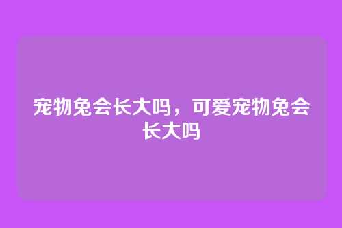 宠物兔会长大吗,可爱宠物兔会长大吗