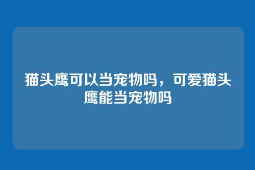 猫头鹰可以当宠物吗,可爱猫头鹰能当宠物吗