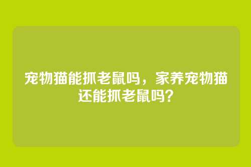 宠物猫能抓老鼠吗,家养宠物猫还能抓老鼠吗?