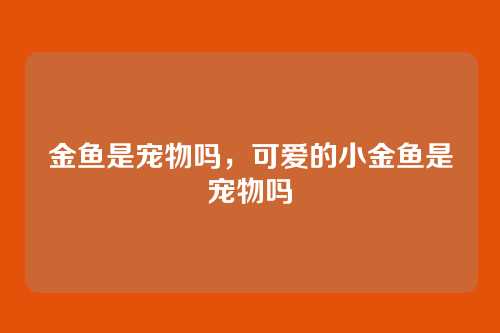 金鱼是宠物吗,可爱的小金鱼是宠物吗