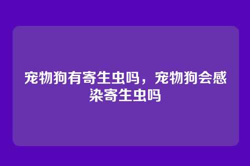 宠物狗有寄生虫吗,宠物狗会感染寄生虫吗