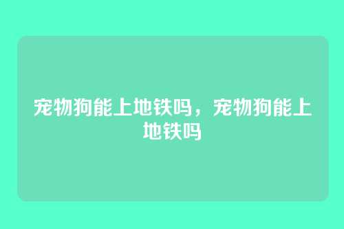 宠物狗能上地铁吗,宠物狗能上地铁吗