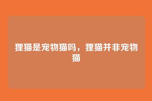 狸猫是宠物猫吗,狸猫并非宠物猫
