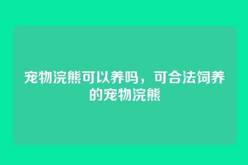 宠物浣熊可以养吗,可合法饲养的宠物浣熊