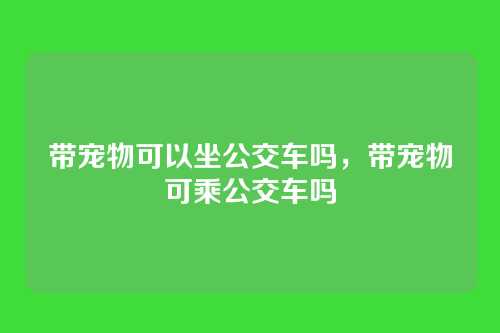 带宠物可以坐公交车吗,带宠物可乘公交车吗