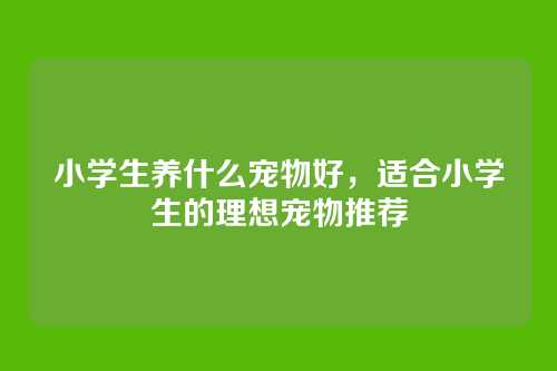 小学生养什么宠物好,适合小学生的理想宠物推荐