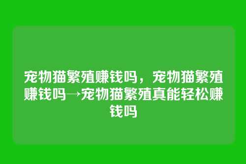 宠物猫繁殖赚钱吗,宠物猫繁殖赚钱吗→宠物猫繁殖真能轻松赚钱吗