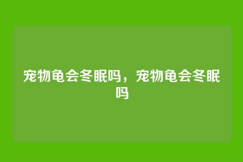 宠物龟会冬眠吗,宠物龟会冬眠吗