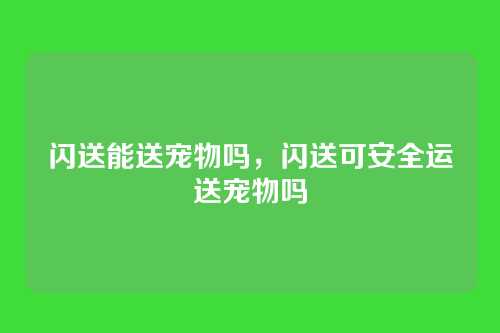 闪送能送宠物吗,闪送可安全运送宠物吗