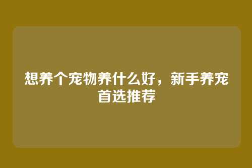 想养个宠物养什么好,新手养宠首选推荐