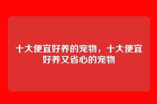 十大便宜好养的宠物,十大便宜好养又省心的宠物