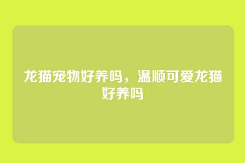 龙猫宠物好养吗,温顺可爱龙猫好养吗