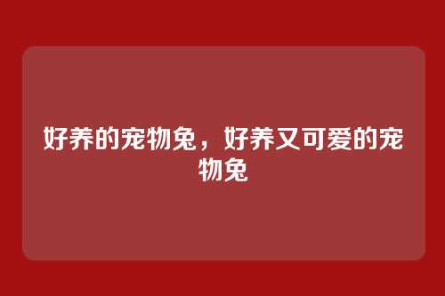 好养的宠物兔,好养又可爱的宠物兔