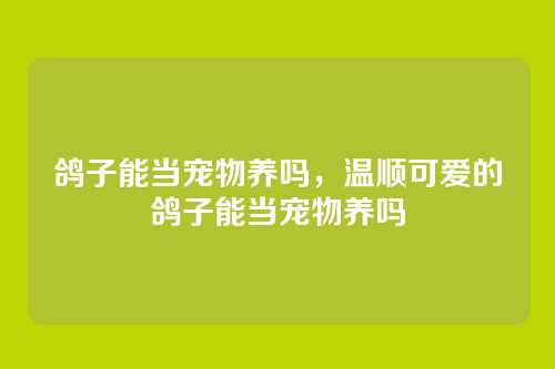 鸽子能当宠物养吗,温顺可爱的鸽子能当宠物养吗