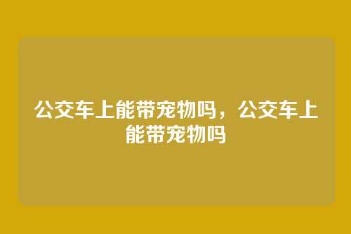 公交车上能带宠物吗,公交车上能带宠物吗