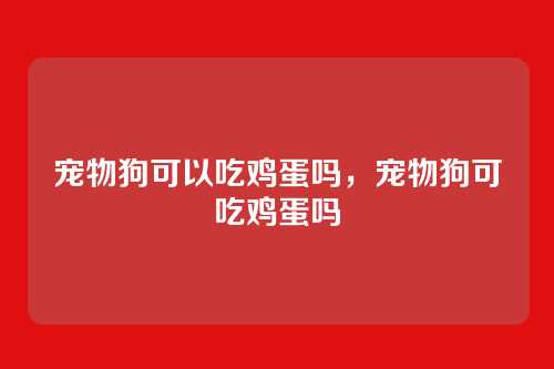 宠物狗可以吃鸡蛋吗,宠物狗可吃鸡蛋吗