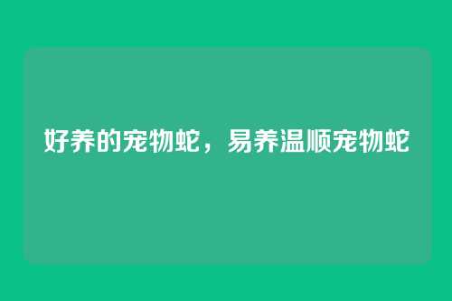 好养的宠物蛇,易养温顺宠物蛇