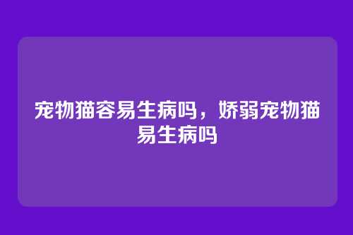 宠物猫容易生病吗,娇弱宠物猫易生病吗