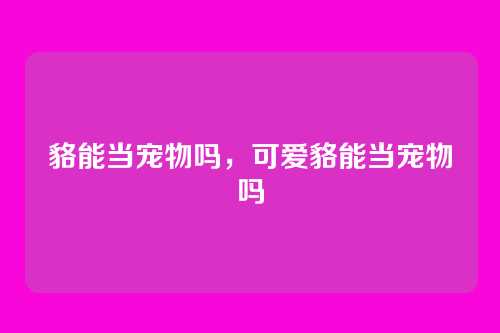 貉能当宠物吗,可爱貉能当宠物吗