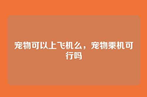 宠物可以上飞机么,宠物乘机可行吗