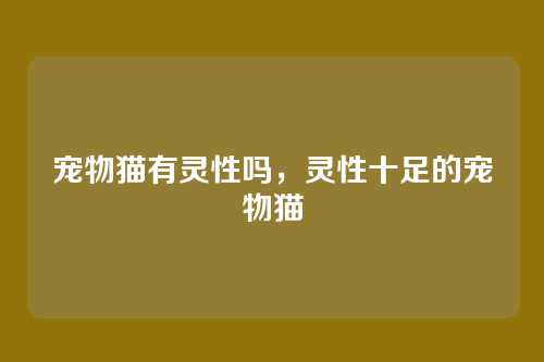 宠物猫有灵性吗，灵性十足的宠物猫
