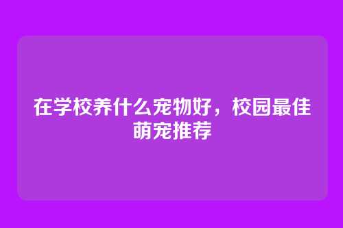 在学校养什么宠物好,校园最佳萌宠推荐