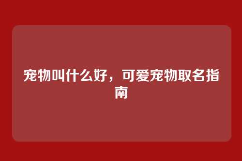 宠物叫什么好，可爱宠物取名指南