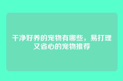 干净好养的宠物有哪些,易打理又省心的宠物推荐