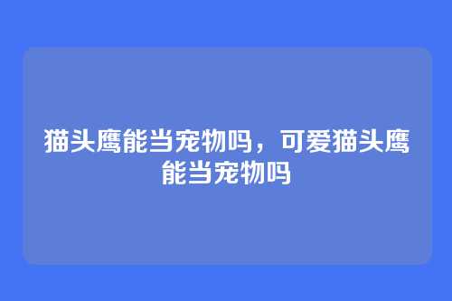 猫头鹰能当宠物吗,可爱猫头鹰能当宠物吗