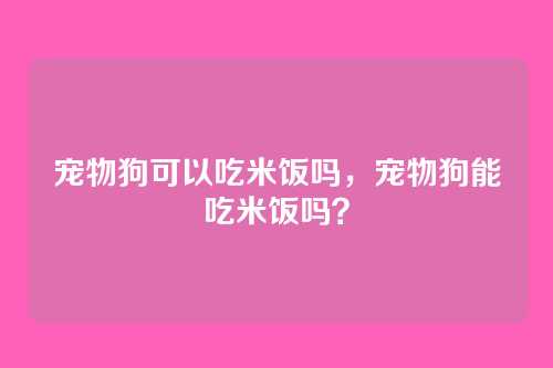宠物狗可以吃米饭吗,宠物狗能吃米饭吗?