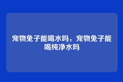 宠物兔子能喝水吗,宠物兔子能喝纯净水吗