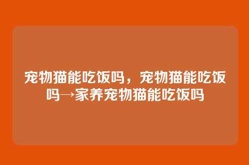 宠物猫能吃饭吗,宠物猫能吃饭吗→家养宠物猫能吃饭吗