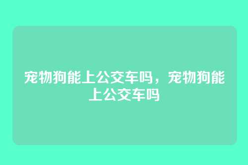 宠物狗能上公交车吗,宠物狗能上公交车吗