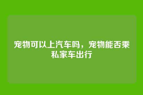 宠物可以上汽车吗,宠物能否乘私家车出行